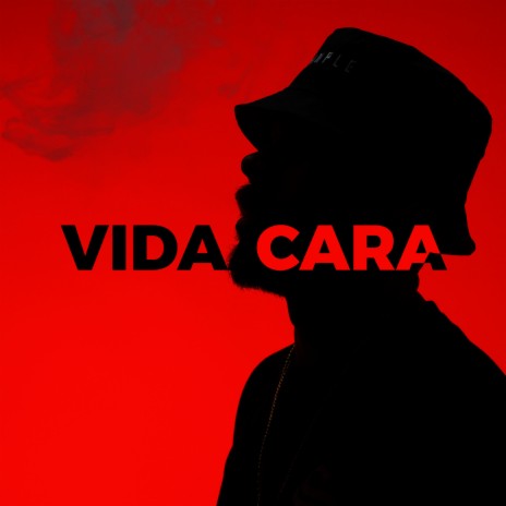 Vida Cara | Boomplay Music