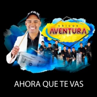 Ahora Que Te Vas