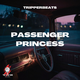 PASSENGER PRINCESS - DnB