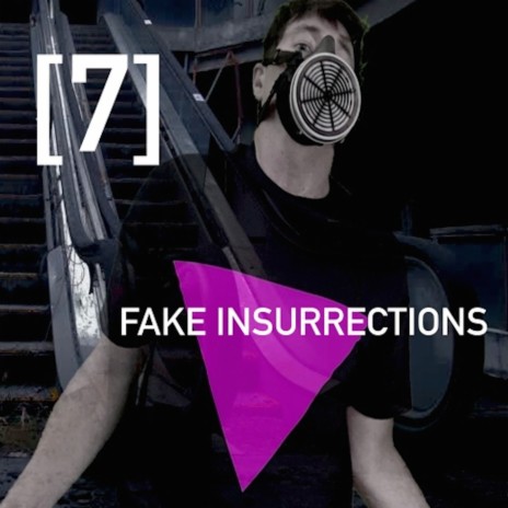 Fake Insurrections | Boomplay Music