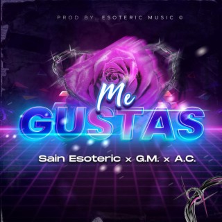 Me Gustas ft. G.M. & A.C. El Satelite lyrics | Boomplay Music