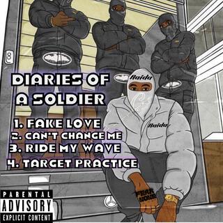 Diaries Of A Soldier