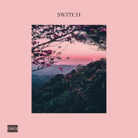 Switch (Lofi Version) | Boomplay Music