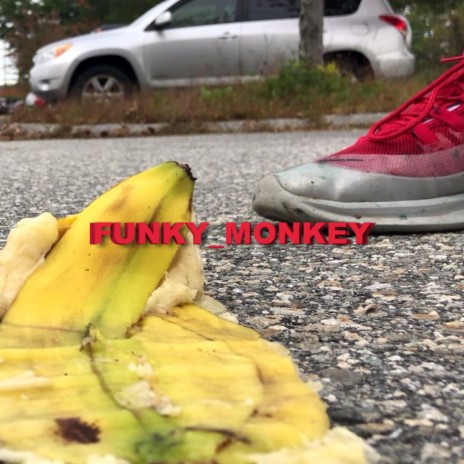 Funky Monkey | Boomplay Music