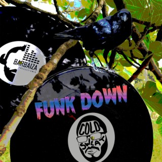 Funk Down