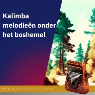 Kalimba melodieën onder het boshemel