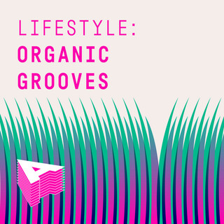 Lifestyle: Organic Grooves