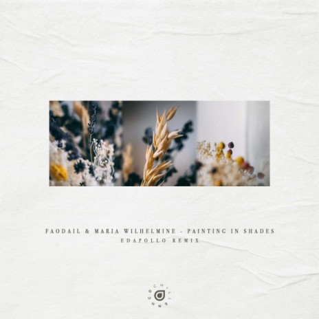 Painting In Shades (edapollo Remix) ft. Maria Wilhelmine