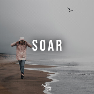 Soar