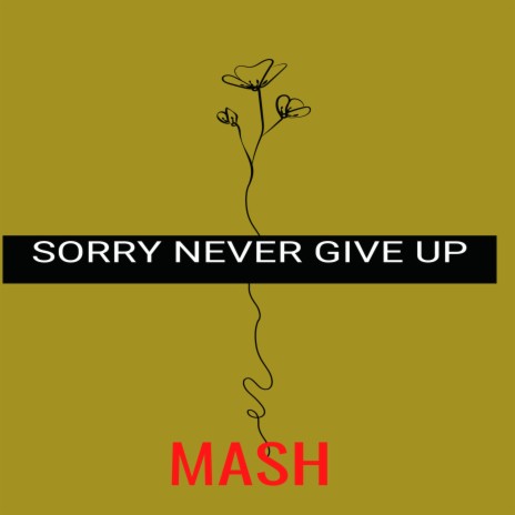 Sorry Never Give Up | Boomplay Music