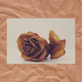 Roses ft. Xphil Wrld lyrics | Boomplay Music
