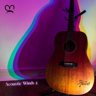Acoustic Winds 2