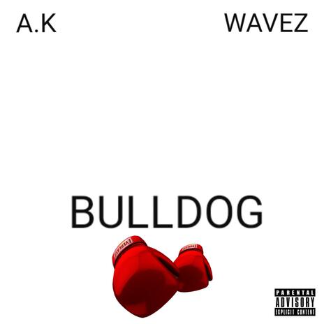 BullDog ft. Wavez | Boomplay Music