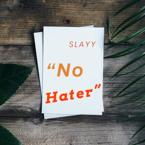 No Hater | Boomplay Music