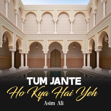 Tum Jante Ho Kya Hai Yeh | Boomplay Music