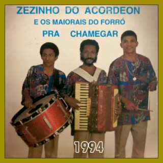 ZEZINHO DO ACORDEON