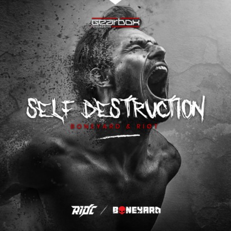 Self Destruction (Original Mix) ft. Riøt | Boomplay Music
