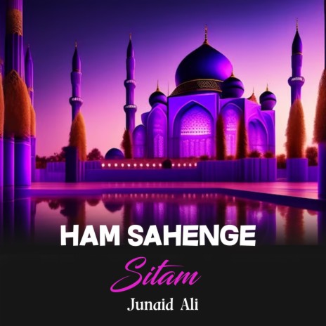 Ham Sahenge Sitam | Boomplay Music