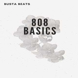 808 Basics