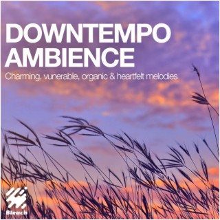 Downtempo Ambience