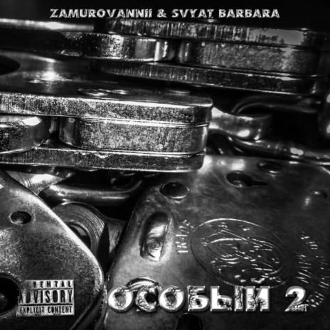Особый 2 ft. Svyat Barbara | Boomplay Music