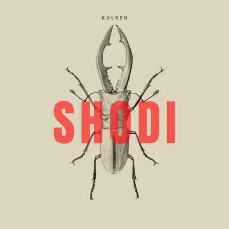 Shodi | Boomplay Music