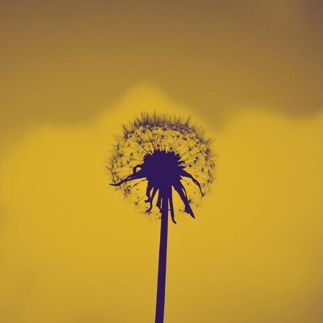 Dandelion | Boomplay Music