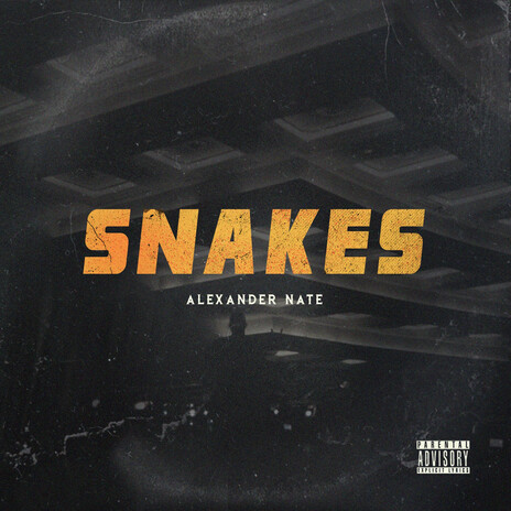 Snakes | Boomplay Music