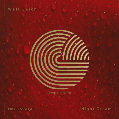 Night Dream | Boomplay Music