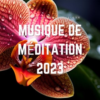 Musique de méditation 2023: Sons relaxants et apaisants pour la méditation de pleine conscience