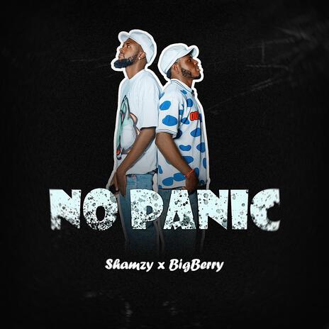 No Panic ft. BigBerry | Boomplay Music