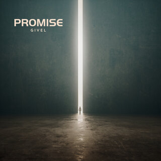 Promise