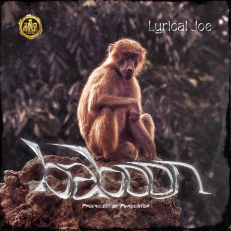 Baboon 🅴 | Boomplay Music