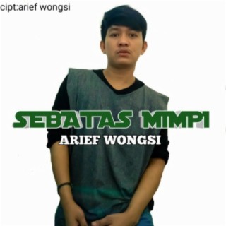 Arief Wongsi