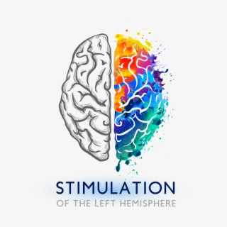 Stimulation of the Left Hemisphere: Analysis and Processing of Information, Decision Making