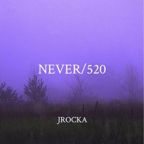 NEVER/520 | Boomplay Music
