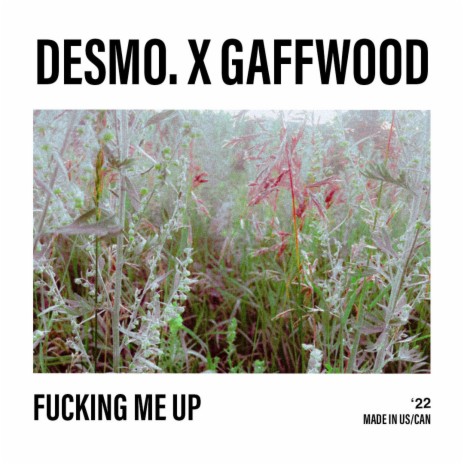 FUCKING ME UP ft. Gaffwood