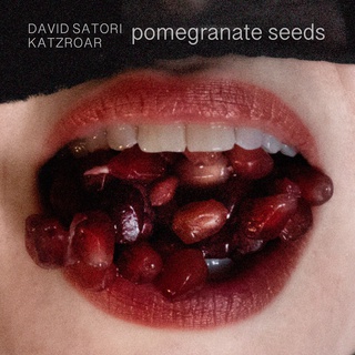 Pomegranate Seeds (David Satori Rework)