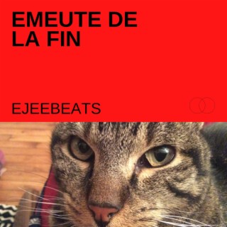 Emeute de la fin