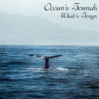 Ocean's Sounds