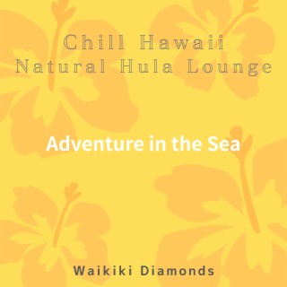 Chill Hawaii:Natural Hula Lounge - Adventure in the Sea