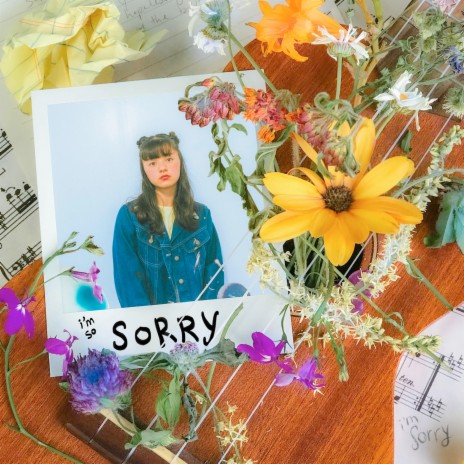 the sorry song | Boomplay Music