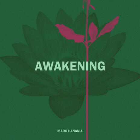 Awakening | Boomplay Music