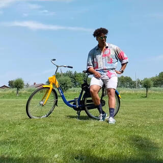 OV-fiets