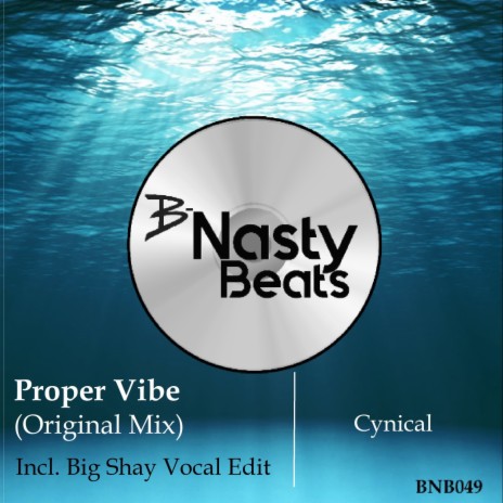 Cynical (feat. Big Shay) (Vocal Edit) | Boomplay Music