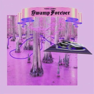 SWAMP FOREVER lyrics | Boomplay Music