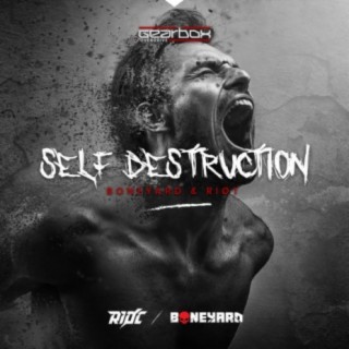 Self Destruction