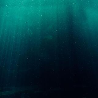 beneath the surface