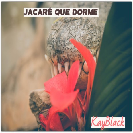 Jacaré Que Dorme | Boomplay Music