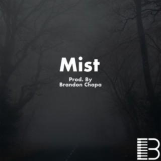 Mist